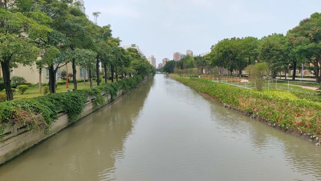 Zhongshan City Black and Odorous Water Remediation Project